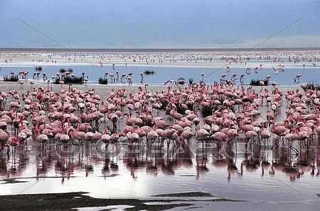 Lake Eyasi